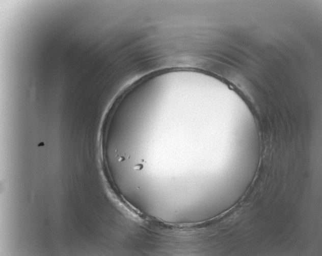 X0000069381080200605262044