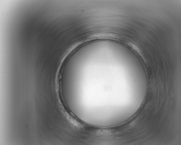 X0000069381082200605262044