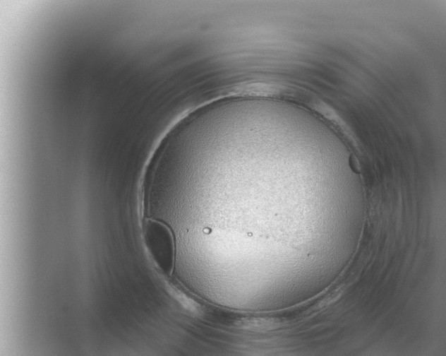 X0000069381083200605262044