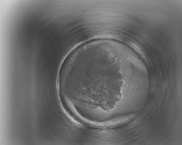 X0000069381084200605262044