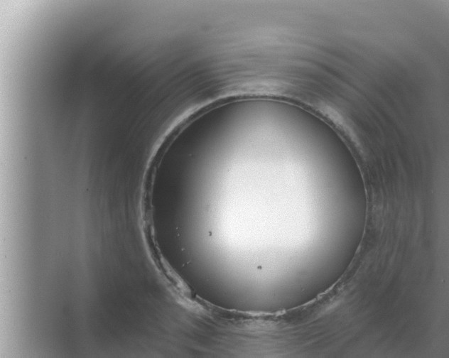 X0000069381085200605262044