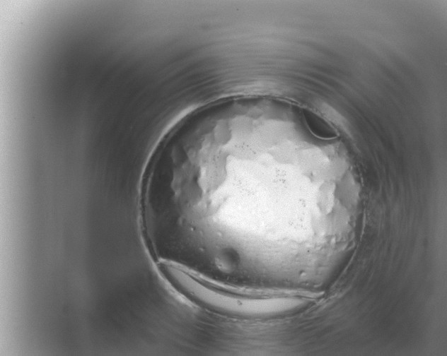 X0000069381087200605262044