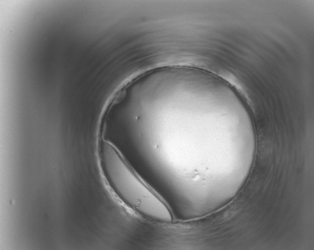 X0000069381088200605262044