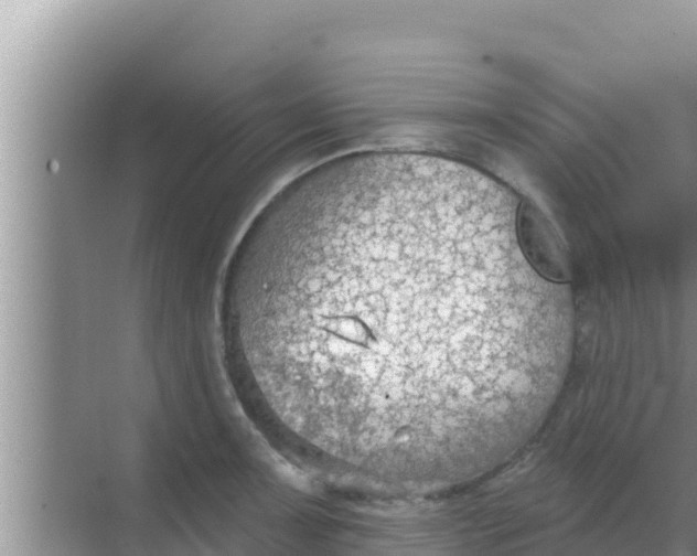 X0000069381091200605262044