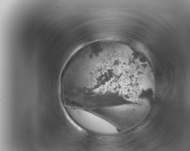 X0000069381095200605262044