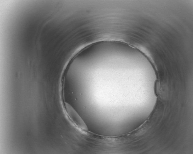 X0000069381096200605262044