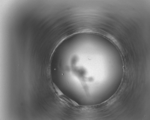 X0000069381097200605262044