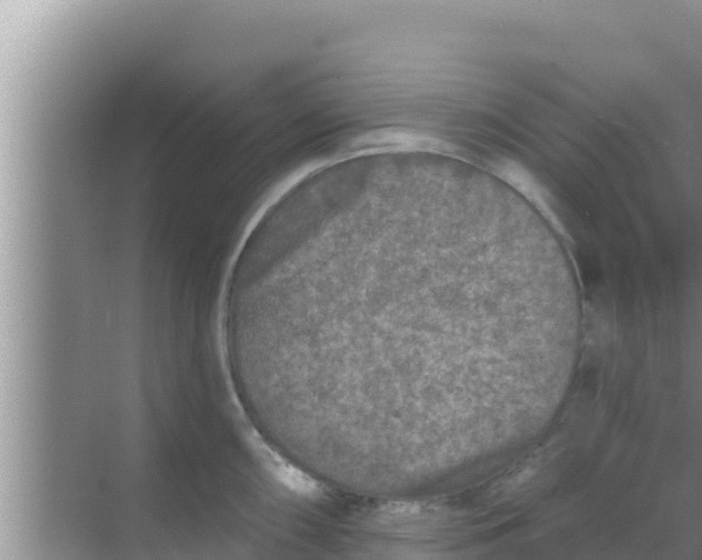 X0000069381098200605262044