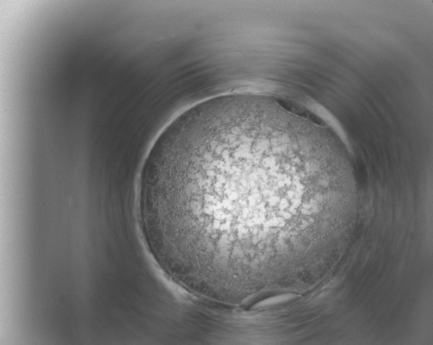 X0000069381099200605262044