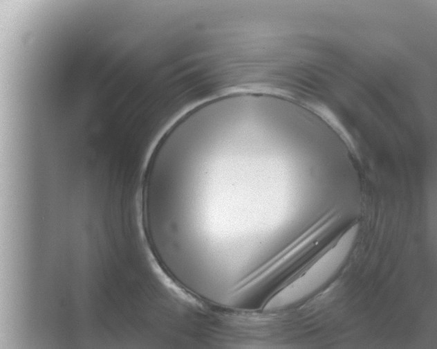 X0000069381100200605262044