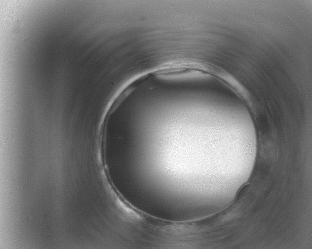 X0000069381102200605262044