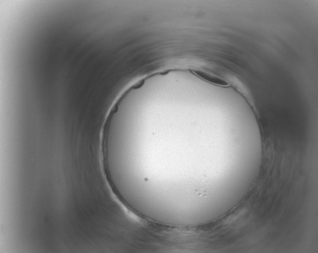 X0000069381103200605262044