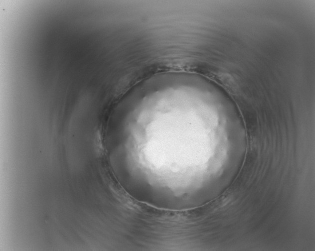 X0000069381106200605262043