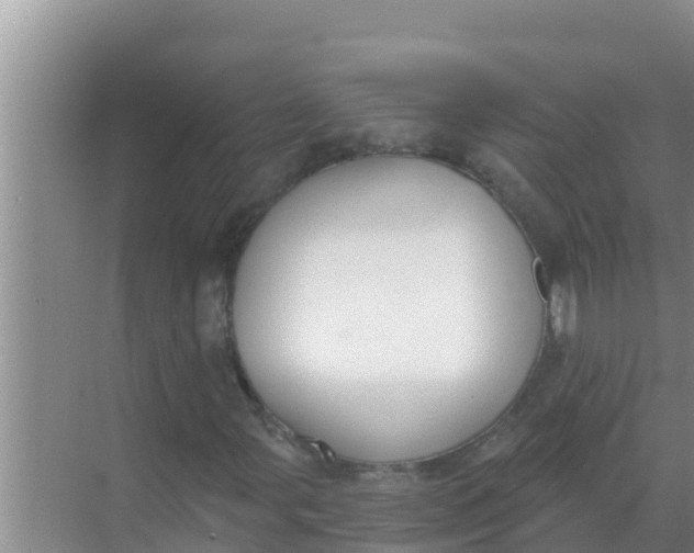 X0000069381107200605262043