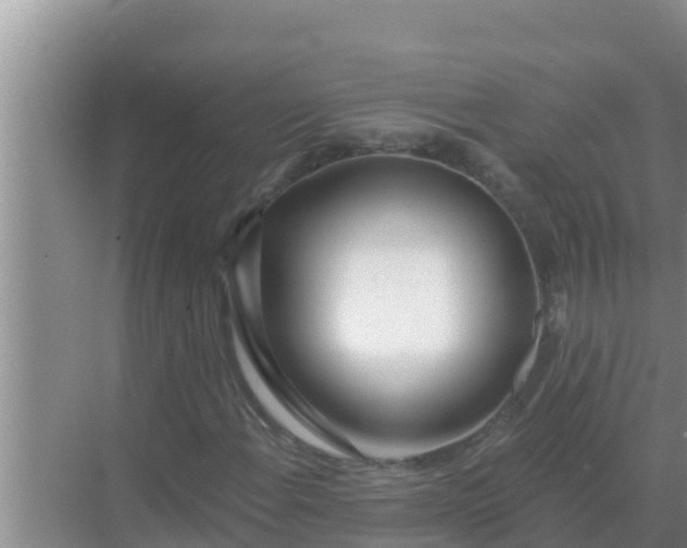 X0000069381108200605262043