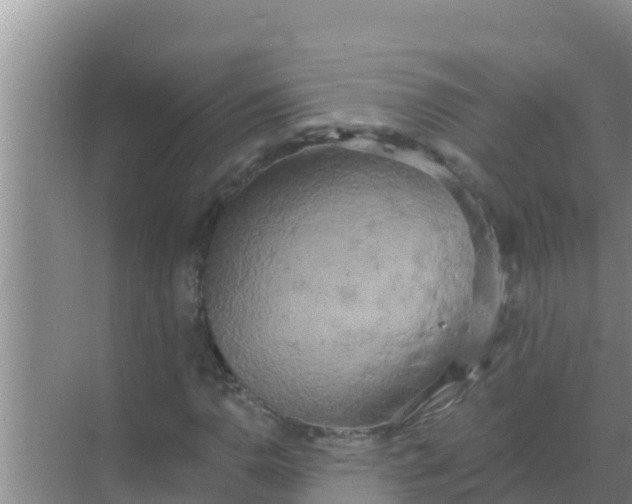 X0000069381110200605262043