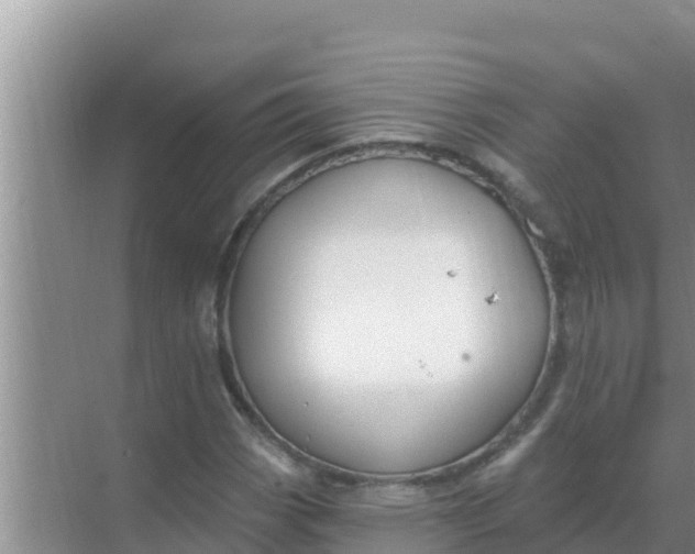 X0000069381113200605262043