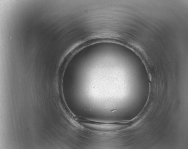 X0000069381114200605262043