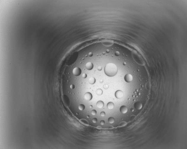 X0000069381115200605262043