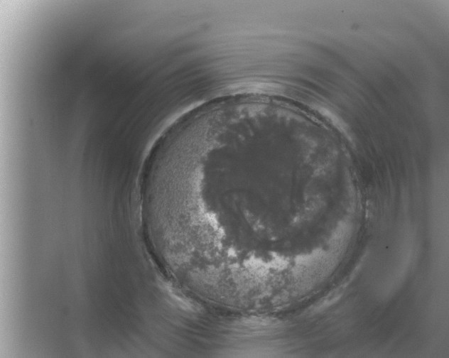 X0000069381117200605262043