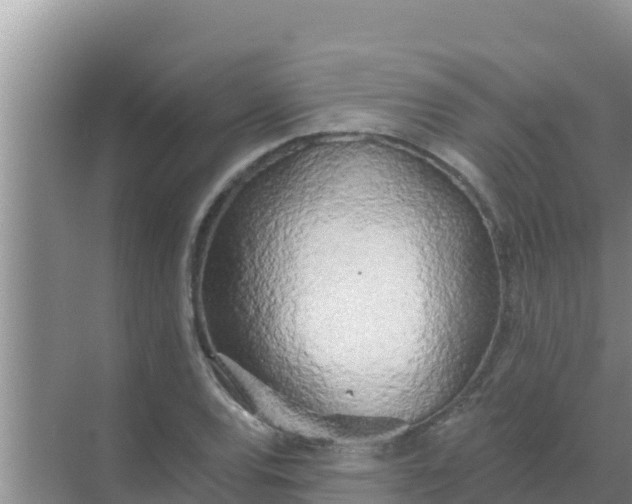 X0000069381120200605262043