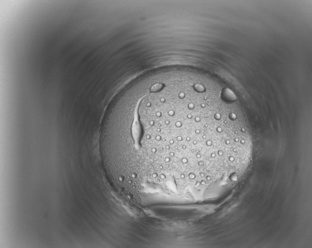 X0000069381121200605262043