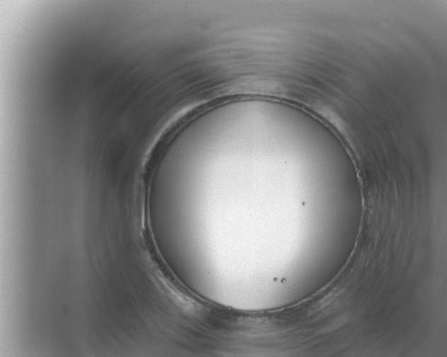 X0000069381123200605262043