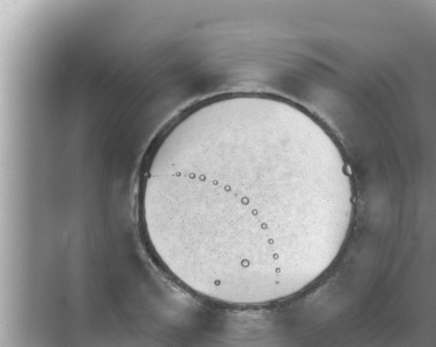 X0000069381126200605262043