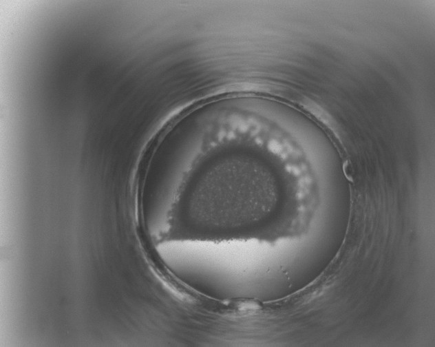 X0000069381127200605262043