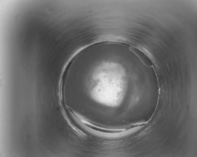 X0000069381128200605262043