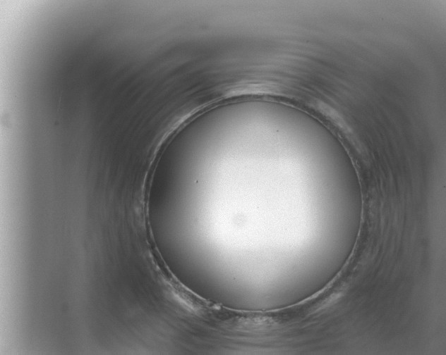 X0000069381129200605262043