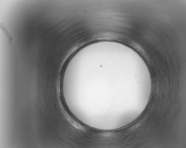 X0000069381130200605262043