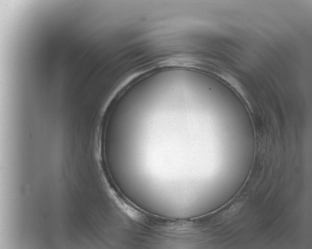 X0000069381131200605262043