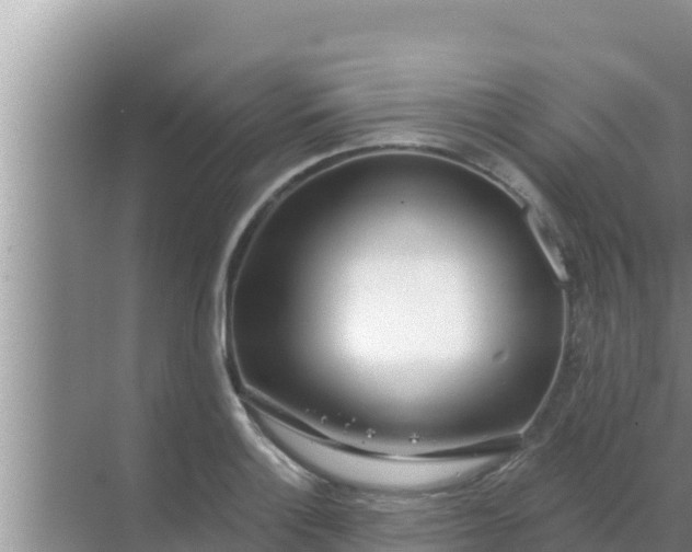 X0000069381132200605262043