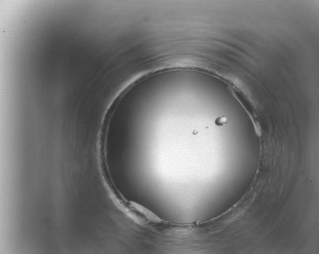 X0000069381134200605262043