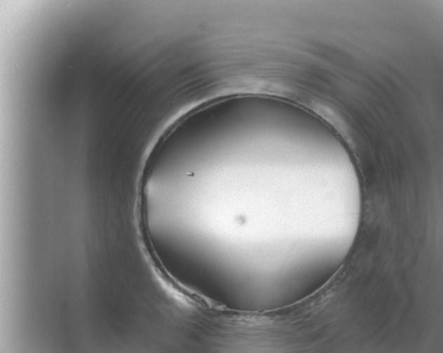 X0000069381136200605262044