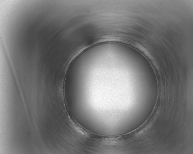 X0000069381137200605262044