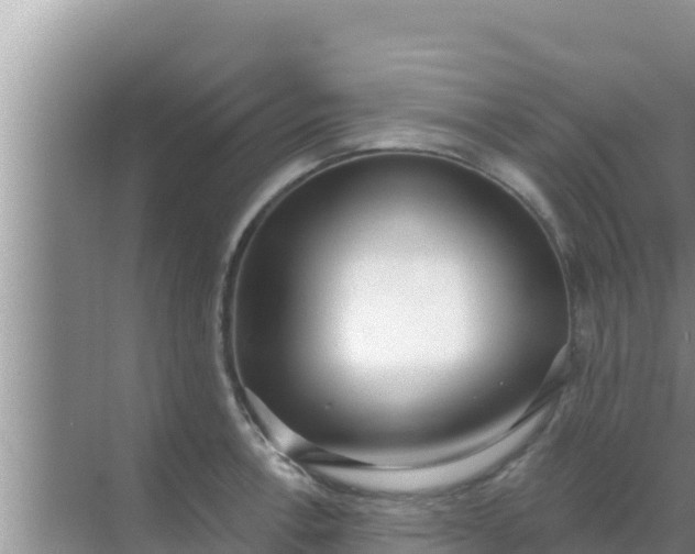 X0000069381138200605262044