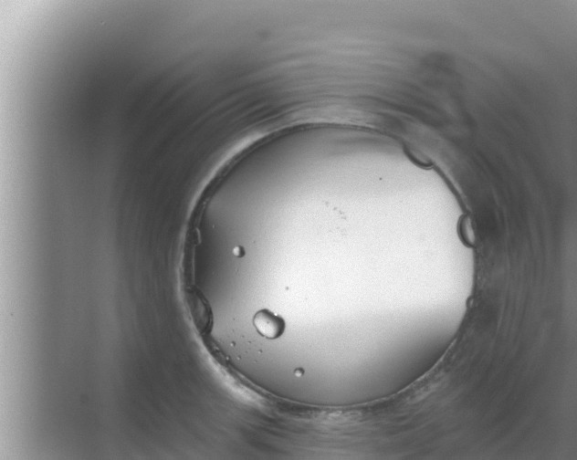 X0000069381139200605262044