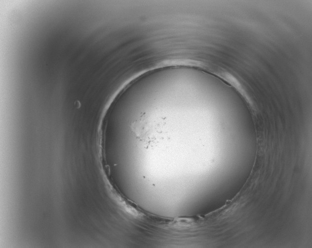 X0000069381140200605262044