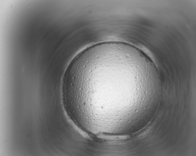 X0000069381142200605262044