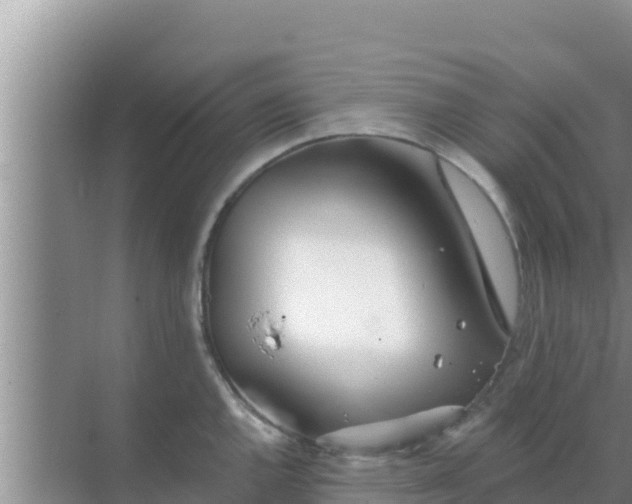 X0000069381144200605262044