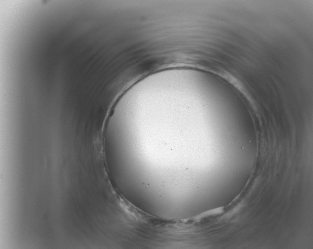 X0000069381145200605262044