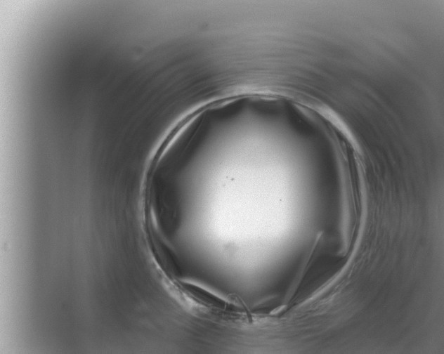 X0000069381148200605262044