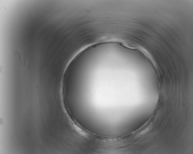 X0000069381149200605262044