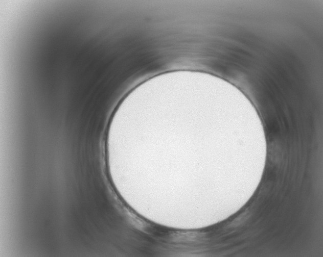 X0000069381150200605262044