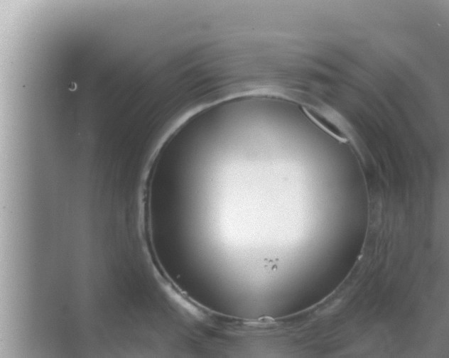 X0000069381151200605262044