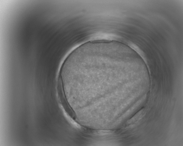 X0000069381152200605262044