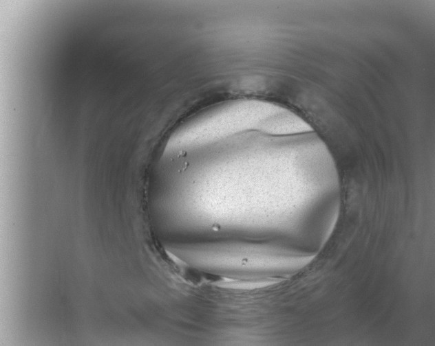 X0000069381153200605262043