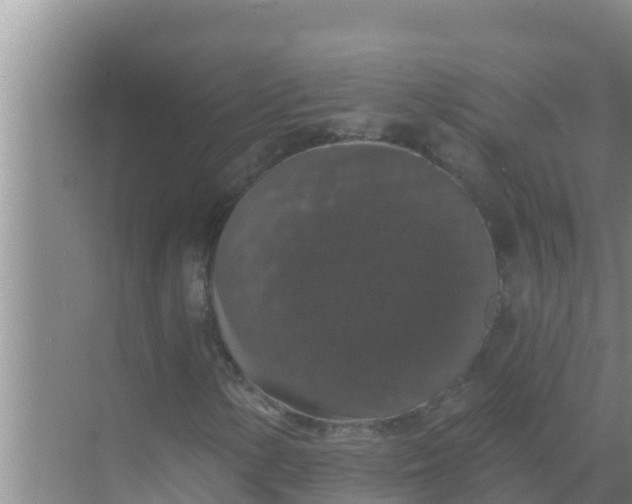 X0000069381154200605262043